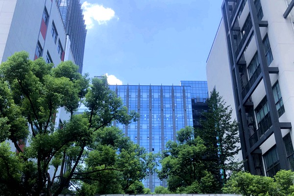 橡胶机械设备上市公司2026年上半年财报分析