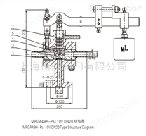 MFGA49H-P54 10V  DN20脉冲式安全阀（W）