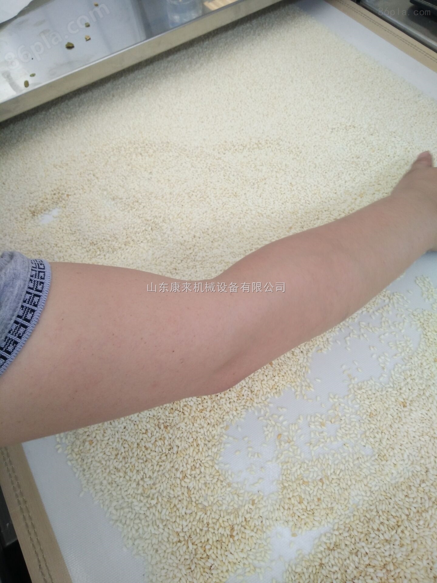 新型环保熟化设备小麦胚芽烘干设备